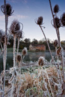 First Frost Sturminster Newton